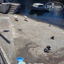 фото из отзыва ID 1461425