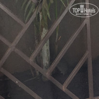 фото из отзыва ID 1461456