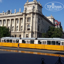 фото из отзыва ID 1461461