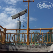 фото из отзыва ID 1461461