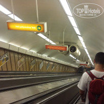 фото из отзыва ID 1461461