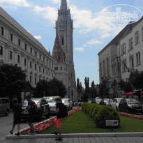 фото из отзыва ID 1461461