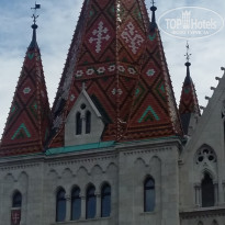 фото из отзыва ID 1461461