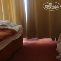 фото из отзыва ID 1461461