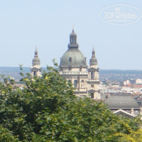 фото из отзыва ID 1461461