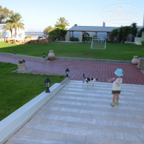 фото из отзыва ID 1461540