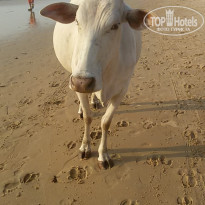 фото из отзыва ID 1461559