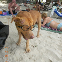 фото из отзыва ID 1461590