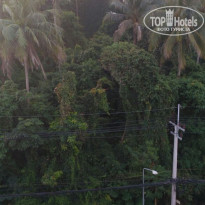 фото из отзыва ID 1461608