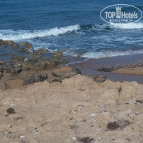 фото из отзыва ID 1461723