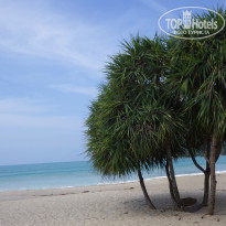 фото из отзыва ID 1461780