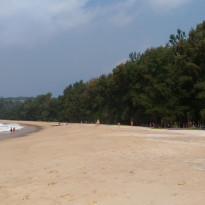 фото из отзыва ID 1461780