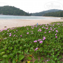 фото из отзыва ID 1461780