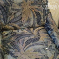 фото из отзыва ID 1461823