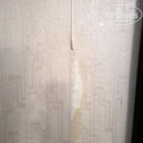 фото из отзыва ID 1461823