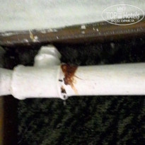 фото из отзыва ID 1461823