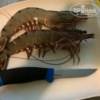 фото из отзыва ID 1461956