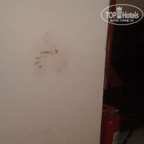 фото из отзыва ID 1461960