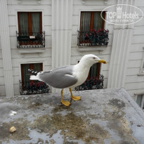 фото из отзыва ID 1461971