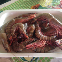 фото из отзыва ID 1461985