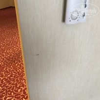 фото из отзыва ID 1462020