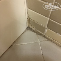 фото из отзыва ID 1462020