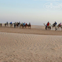 фото из отзыва ID 1462030