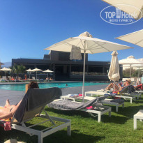 фото из отзыва ID 1462043