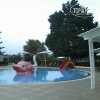 фото из отзыва ID 1462089