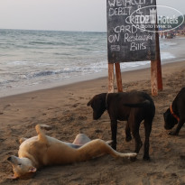 фото из отзыва ID 1462242