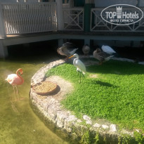 фото из отзыва ID 1462312