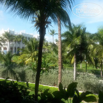 фото из отзыва ID 1462312