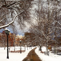 фото из отзыва ID 1462381