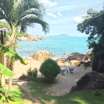 фото из отзыва ID 1462418