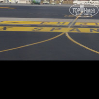 фото из отзыва ID 1462456