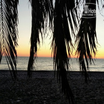 фото из отзыва ID 1462466