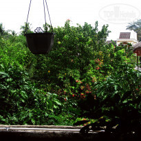 фото из отзыва ID 1462785