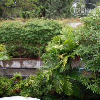 фото из отзыва ID 1462787