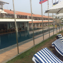 фото из отзыва ID 1462690