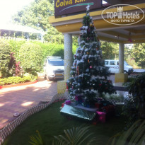 фото из отзыва ID 1462808