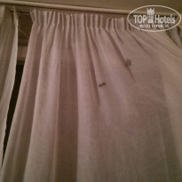 фото из отзыва ID 1462864