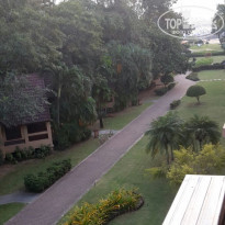 фото из отзыва ID 1462910