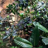 фото из отзыва ID 1462920