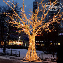 фото из отзыва ID 1462947