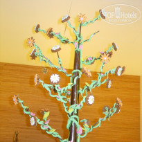 фото из отзыва ID 1463024