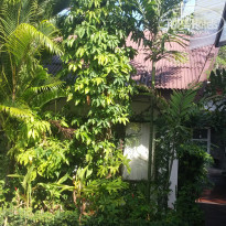 фото из отзыва ID 1463122