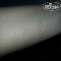 фото из отзыва ID 1463208