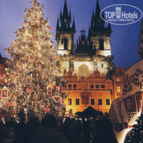 фото из отзыва ID 1463312