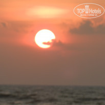 фото из отзыва ID 1463617