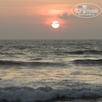 фото из отзыва ID 1463617